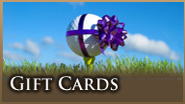 gift card tab